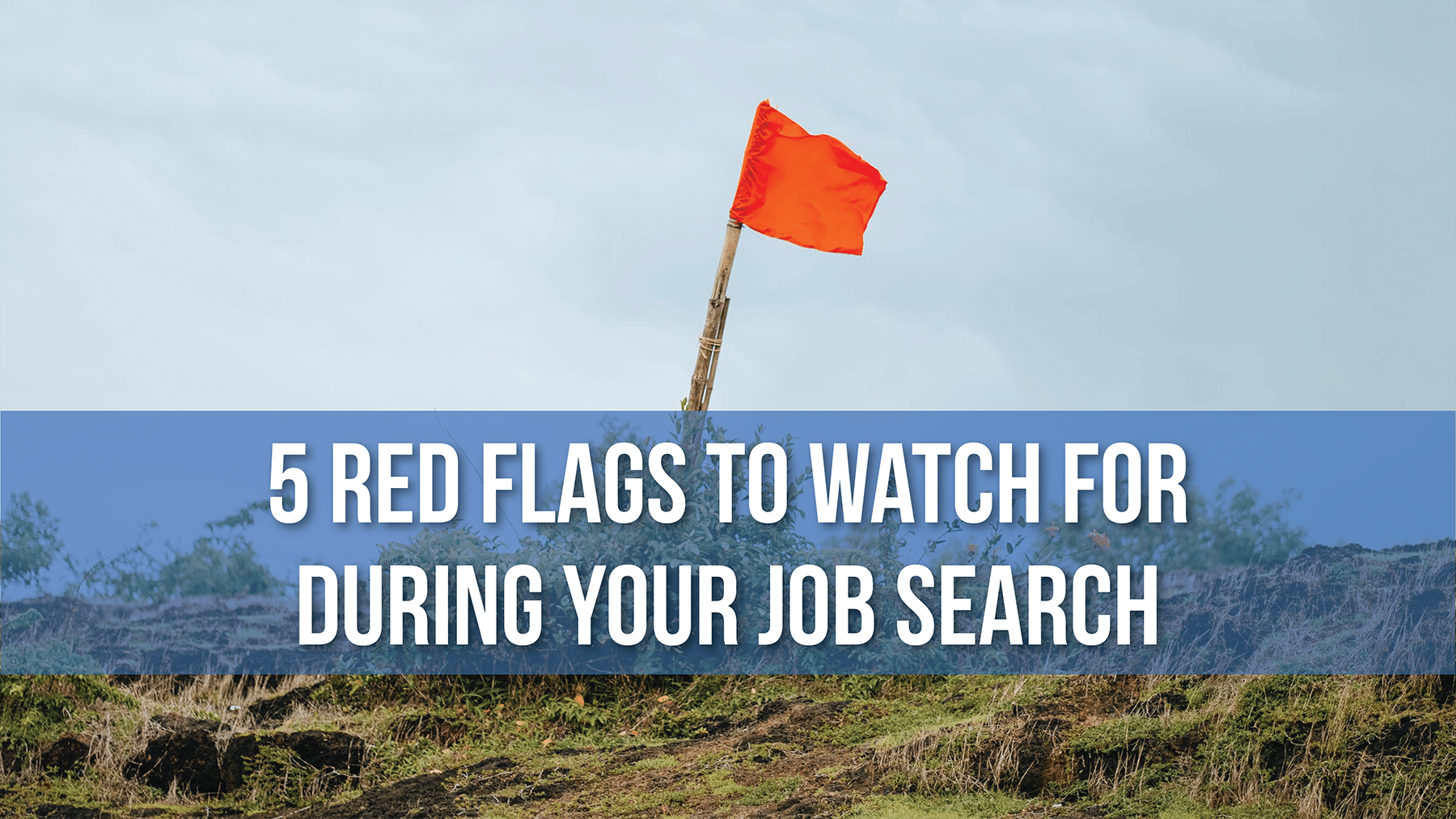 JobSearchRedFlags, 5 Red Flags to Watch for During Your Job Search