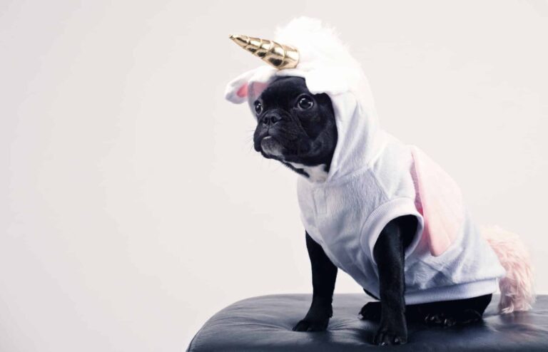 Are You a Unicorn Employee? Here’s How to Tell