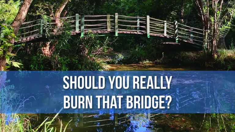 burningbridges, Job Seeker Blog